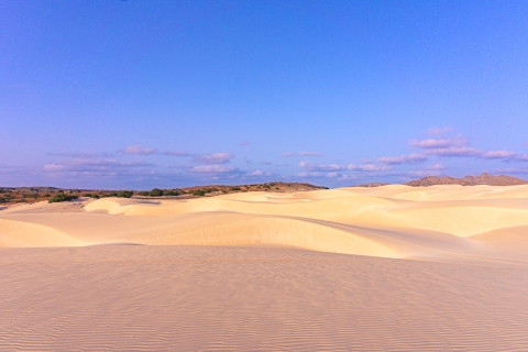 Insel Boa Vista: Halbtägiges Quad-Abenteuer in der Viana-Wüste1 Single ATV Quad für 1 Person