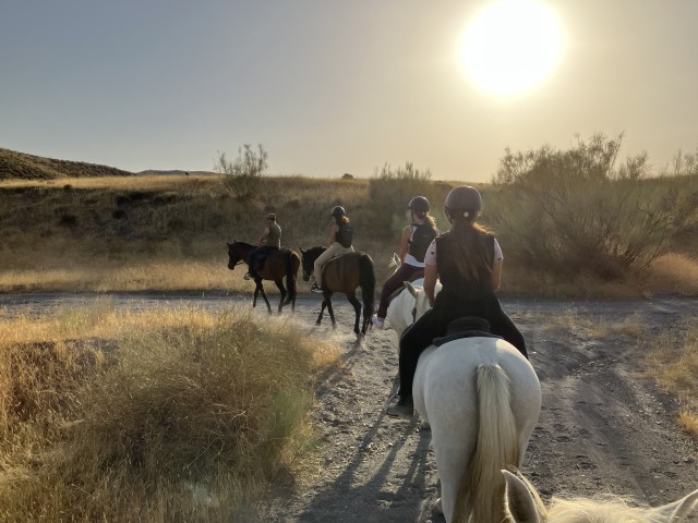 Visit Tabernas Tabernas Desert Nighttime Horseback Ride in Almería, Spain
