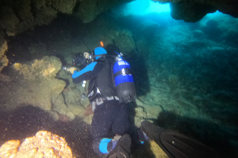 Plongées amusantes sur l'île de Terceira - Bateau de plongée double