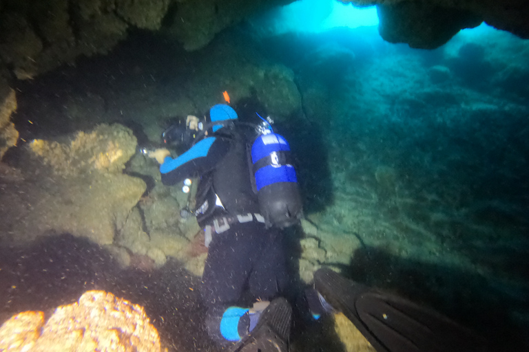 Plongées amusantes sur l'île de Terceira - Bateau de plongée double