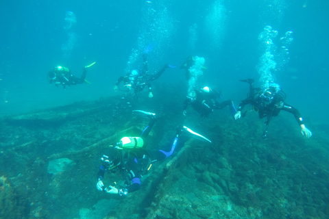 Terceira: Angra do Heroísmo Scuba Diving Tour with 2 Dives