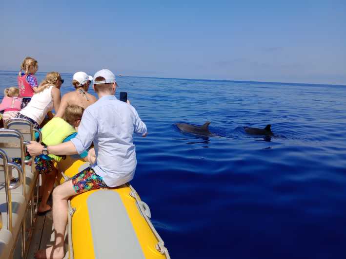 Can Picafort: Dolfijnen kijken boottocht met zwemmen
