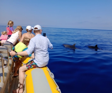 Can Picafort: Båttur med delfinsafari, badstopp