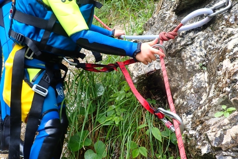 Ab Bovec: Canyoning am Wildbach Sušec im Soča-Tal
