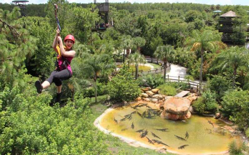 Orlando: Zipline Over Florida Alligators at Gatorland