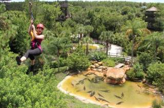 Orlando: Gatorland Zipline Abenteuer mit ganztägigem Parkzugang