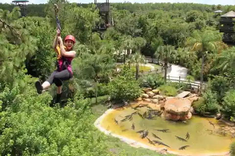 Aventura de tirolesa em Gatorland com acesso ao parque por um dia inteiro