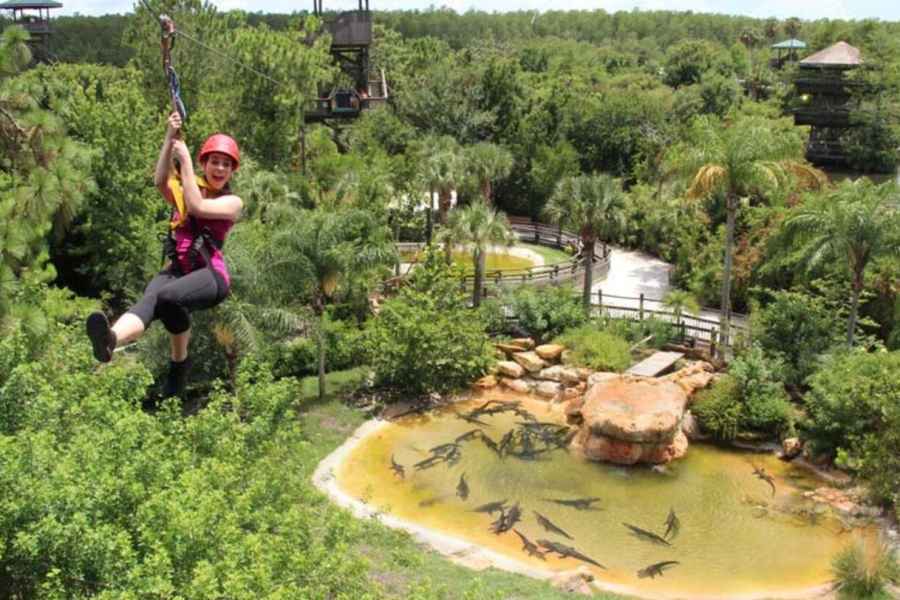 Orlando: Gatorland Zipline Abenteuer mit ganztägigem Parkzugang. Foto: GetYourGuide