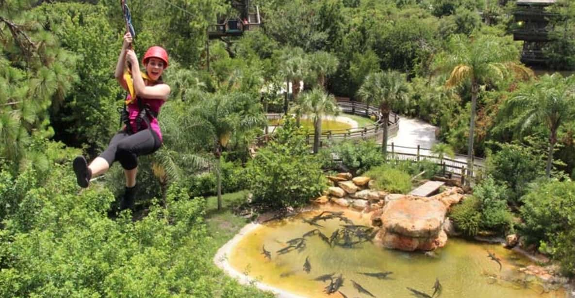 Orlando: Gatorland Zipline Adventure w/ Full-Day Park Access | GetYourGuide