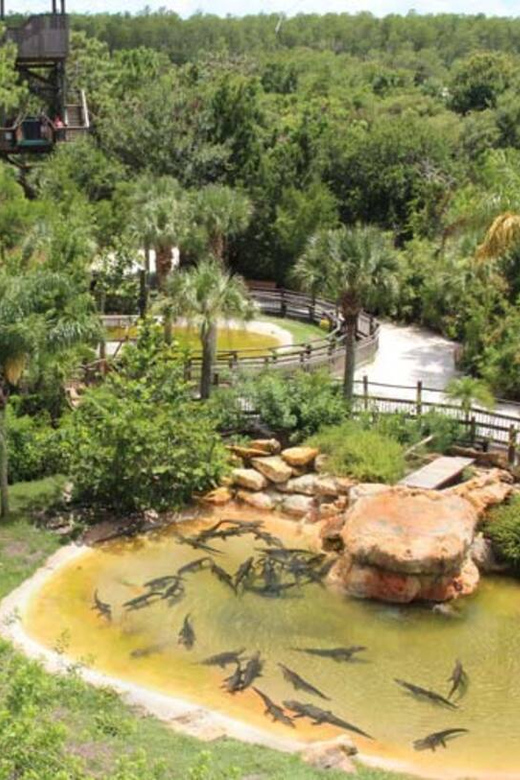Orlando: Gatorland Zipline Adventure w/ Full-Day Park Access