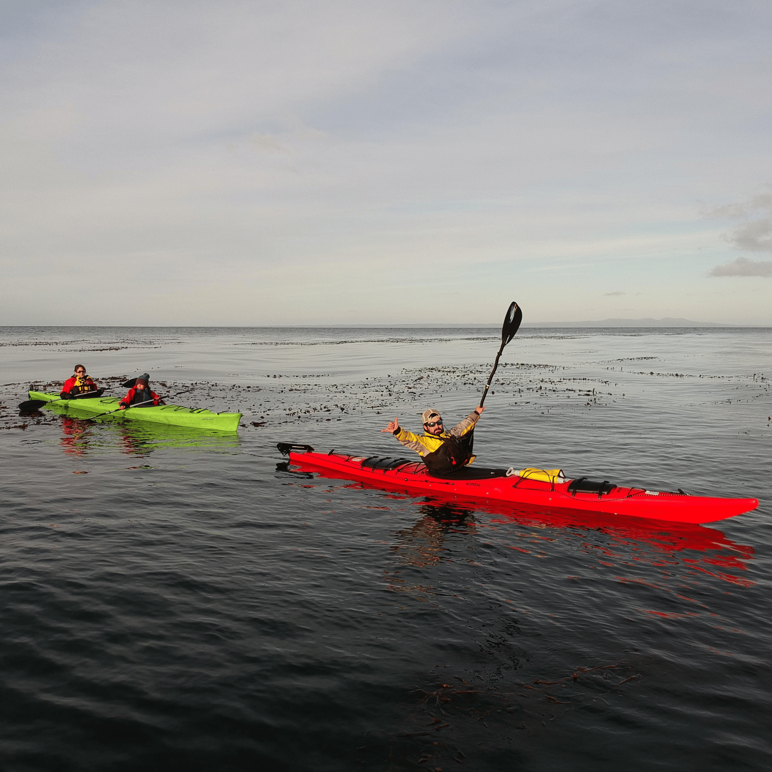 Punta Arenas: Kajaktour mit Wildtieren