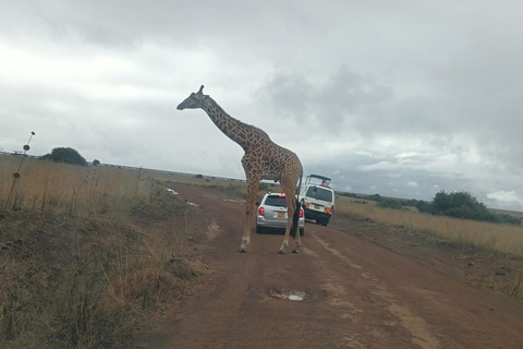 Parque Nacional del Lago Nakuru desde Nairobi