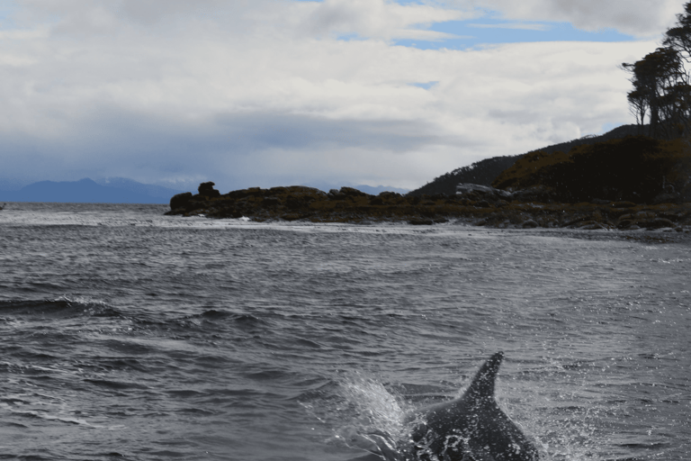 Da Punta Arenas: Navigazione + trekking a Cabo Froward