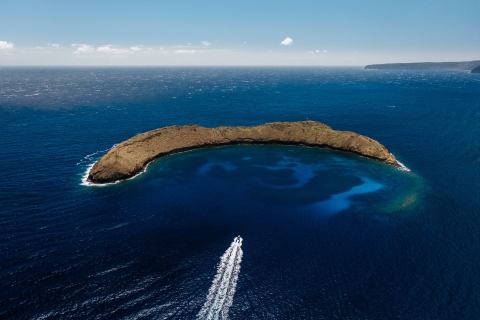 Z Kihei: Rejs do nurkowania z rurką w kraterze wulkanicznym Molokini