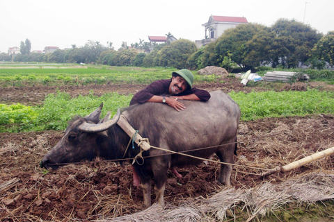 Unique 2 - Day Halong Ninh Binh Farming Tour2-Day Ha Long Ninh Binh Farming Tour