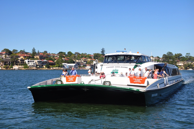 Depuis Sydney : excursion aux montagnes bleues en minibus