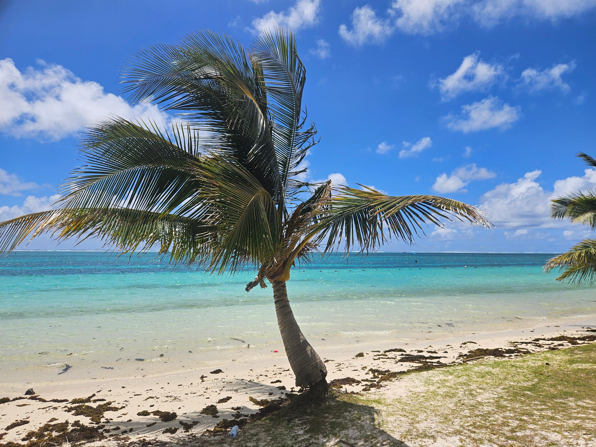 Mauritius Vieux Grand Port EAST Touren