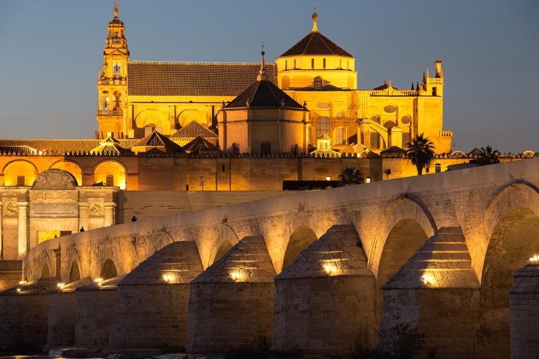 Cordoba: Bilet wstępu i wycieczka do meczetu-katedry w Kordobie