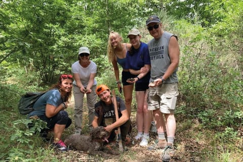 Barberino Tavarnelle: Truffle Hunt Guided Tour With Dinner
