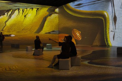 Barcelona: entrada a la exposición Dalí Cibernético en IDEAL
