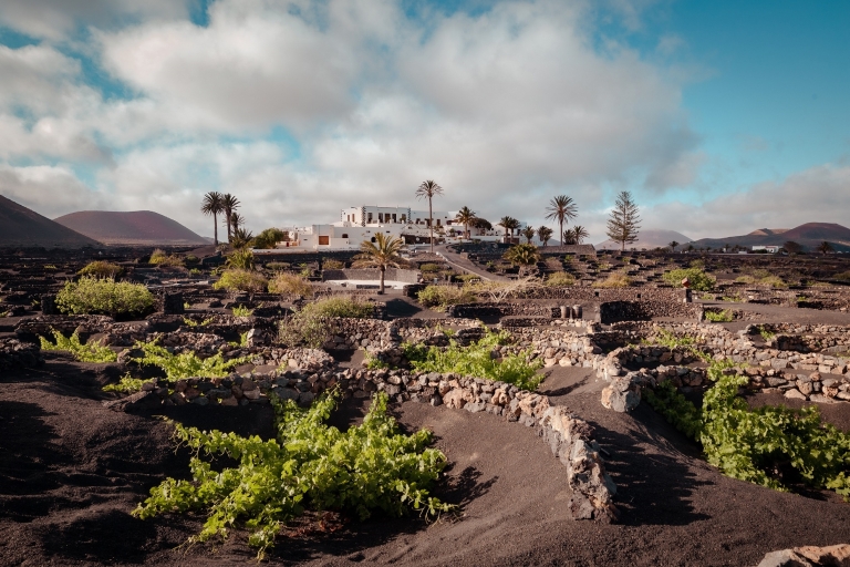 Lanzarote: Vineyard tour with wine and chocolate tasting Tour in Spanish
