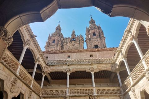 Salamanca: Monuments and Landmarks Guided Walking Tour
