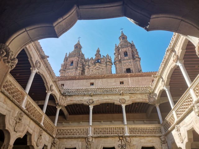 Visit Salamanca Monuments and Landmarks Guided Walking Tour in Salamanca, Spain