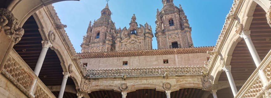 Salamanque : Visite guidée à pied des monuments et points d'intérêt