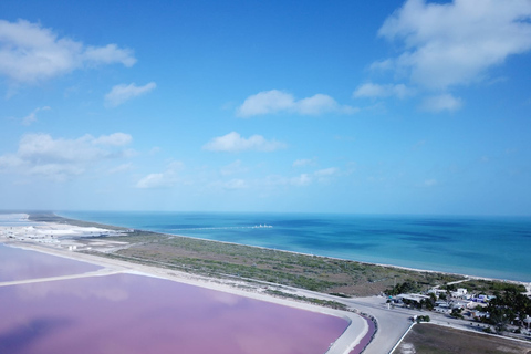 Von Cancun aus: Las Coloradas & Rio Lagartos Tour mit Transfer