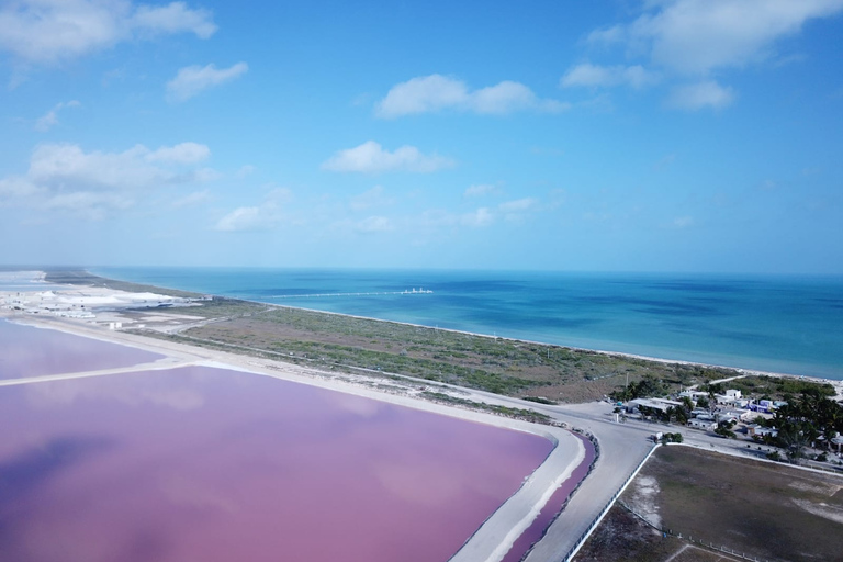 Z Cancun: Las Coloradas i Rio Lagartos Tour z transferem