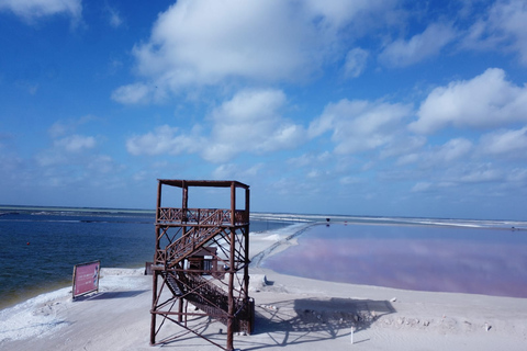 De Cancun: visite de Las Coloradas et Rio Lagartos avec transfert