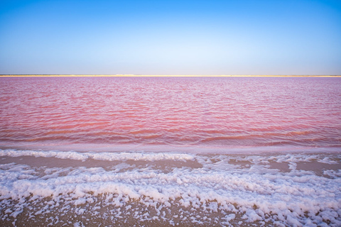 Van Cancun: Las Coloradas & Rio Lagartos Tour met transferVan Tulum: Las Coloradas & Rio Lagartos-tour