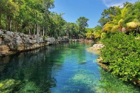 Desde Playa del Carmen: excursión de un día a los cenotes de Casa Tortuga