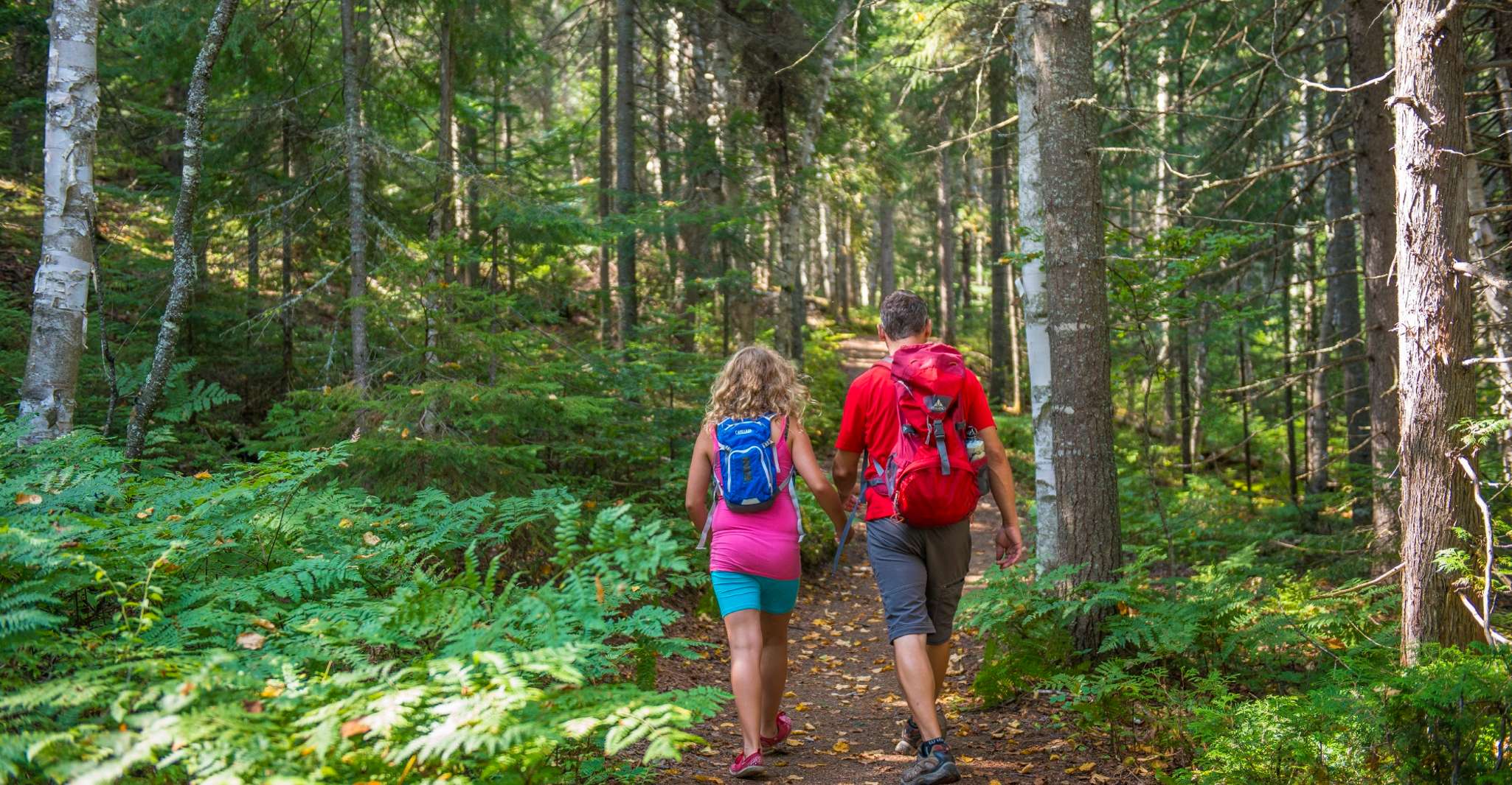 From Montreal: Mont-Tremblant National Park Hiking Day Trip photo 11