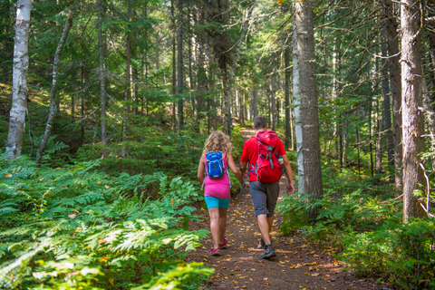 De Montreal: excursão de um dia ao Parque Nacional de Mont-Tremblant