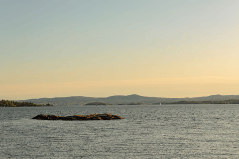 Oslo : Croisière touristique dans le fjord d'Oslo en bateau électrique