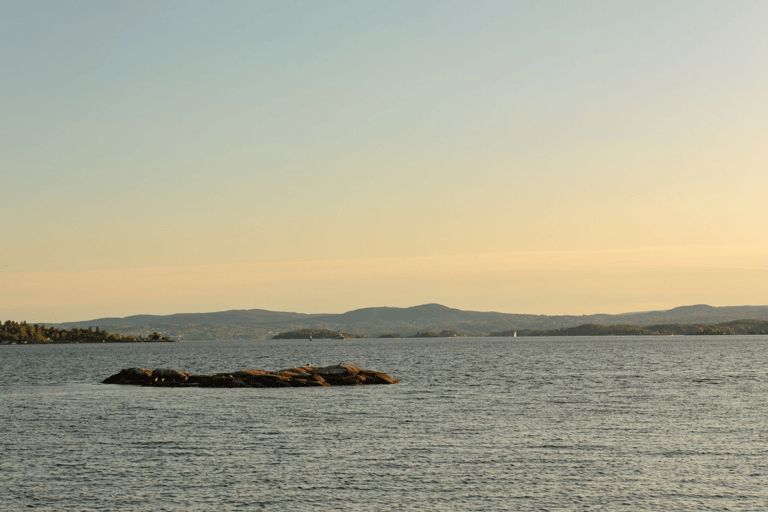 Oslo : Croisière touristique dans le fjord d'Oslo en bateau électrique