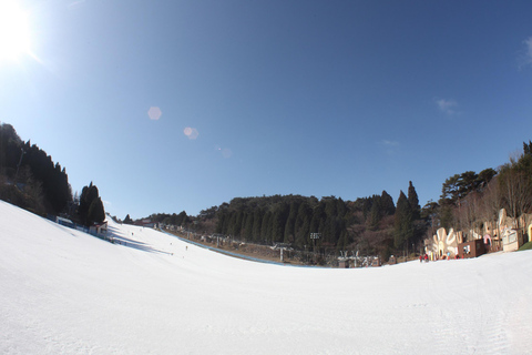 Desde Osaka: Parque de Nieve de la Montaña de Rokko y Aguas Termales de Arima