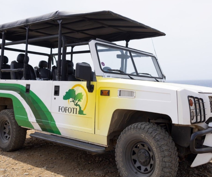 Noord: tour in jeep del Parco Nazionale di Arikok con visita alla Baby Beach
