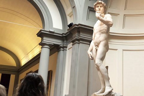 Florença: Entrada com hora marcada para o David de Michelangelo e eBook