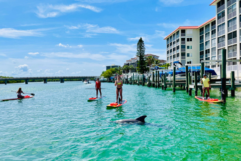 Fort Myers Dolphin & Manatee Kayak or Paddleboard Tour