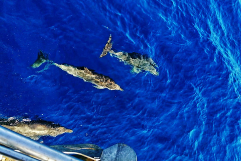 Héraklion : Excursion en voilier de luxe sur l&#039;île de Dia avec repas et boissons