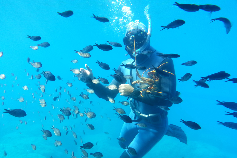 Rhodos Stad: Cruise met de Yellow Submarine en uitzicht onder waterRhodos-stad: gele onderzeeërcruise met uitzicht onder water