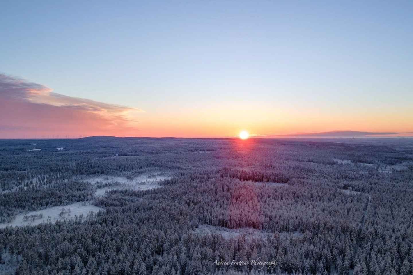 Kemi: Sleddog Husky Safari incl. hot drink