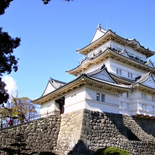 From Tokyo: Odawara and Hakone Day Trip with Transfer