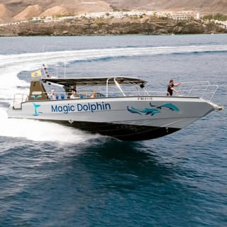 Morro Jable: 2-Hour Magic Dolphin Search with Drinks an Swim