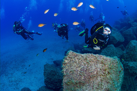 Radazul: Salida de Buceo en Bahía Radazul con Bebidas