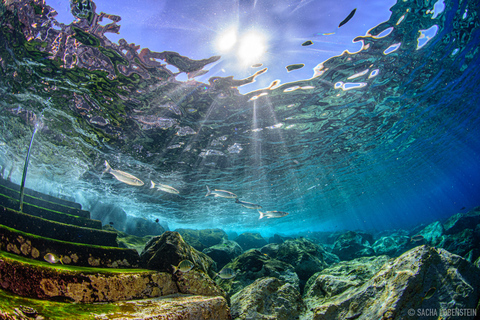 Radazul: Salida de Buceo en Bahía Radazul con Bebidas