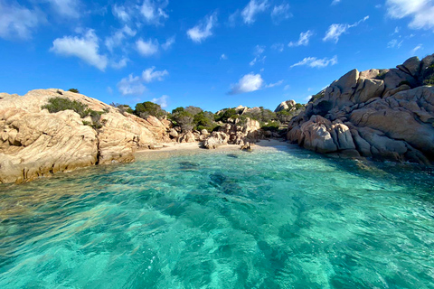 From La Maddalena and Palau: Tour of Budelli & Santa Maria Tour from Palau