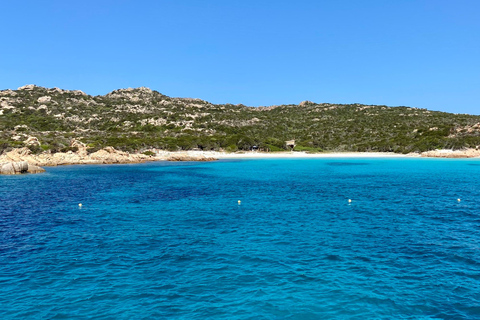 From La Maddalena and Palau: Tour of Budelli & Santa Maria Tour from Palau